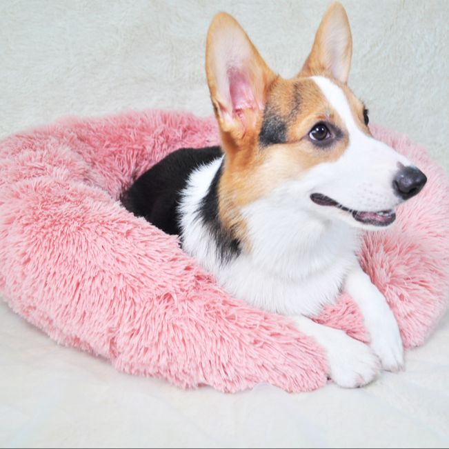 The Pet Calming Bed: Say Goodbye to Anxiety!