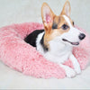 The Pet Calming Bed: Say Goodbye to Anxiety!